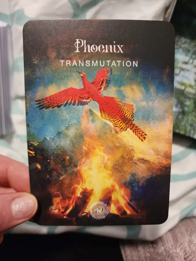 Tarot Reading437431550870169602