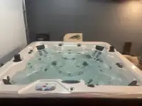 Hot tub (Arctic Spa)