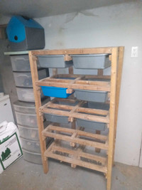 Rat Breeding Rack