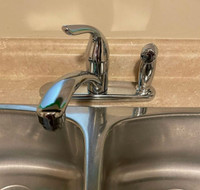 MOEN 87203 Adler Single-Handle Low Arc Kitchen Faucet w/Sprayer