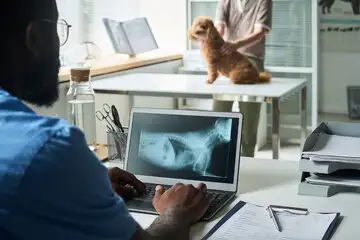 Veterinary Research511720011156705280