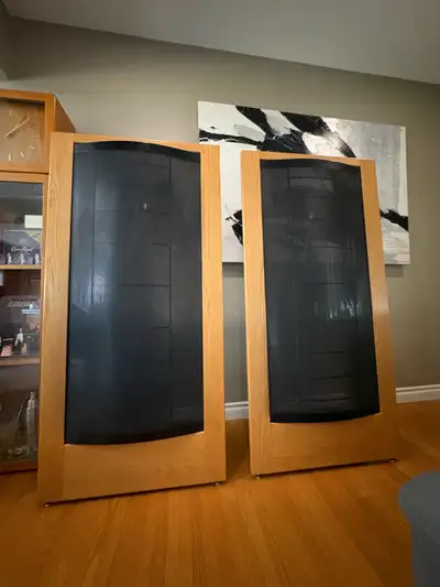 Martin Logan CLS 2 Speakers ( Moving Sale ), View more