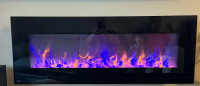 Nepolean Fireplace