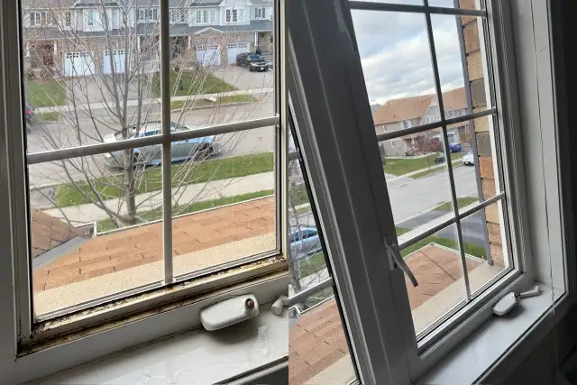 Cleaning Services65203778745859122