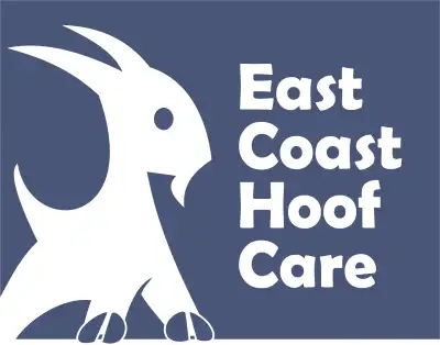 East Coast Hoof Care, over 40 years hoof care experience, View more