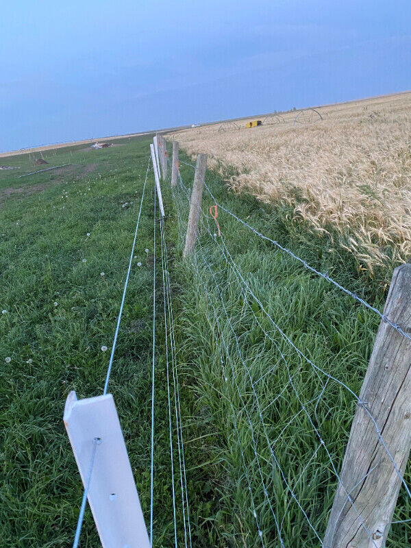 livestock fence supplies Equestrian & Livestock Accessories