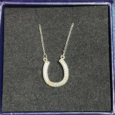 Sterling silver cubic zirconia, horseshoe necklace, View more