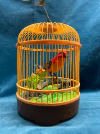 Very Cute Animated Bird in Cage Sings and Moves with motion