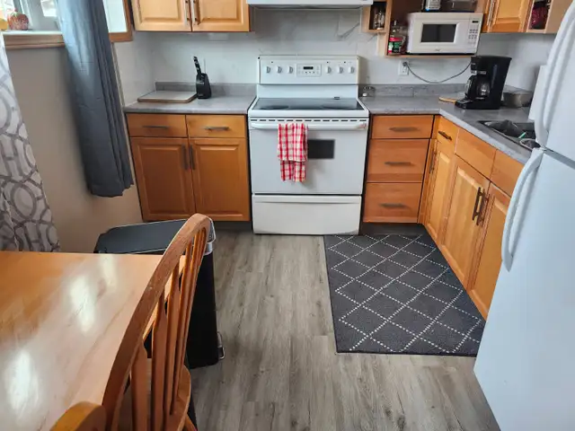 Basement suite rental