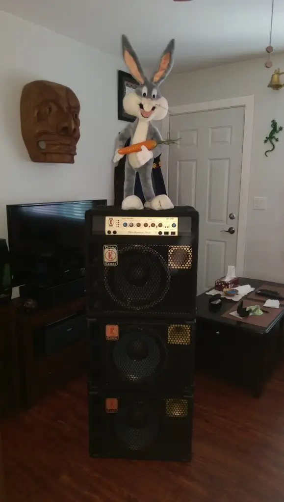 EDEN Custom Bass Combo with 2 EDEN Bass Cabinets in Amps & Pedals in Vancouver - Image 2