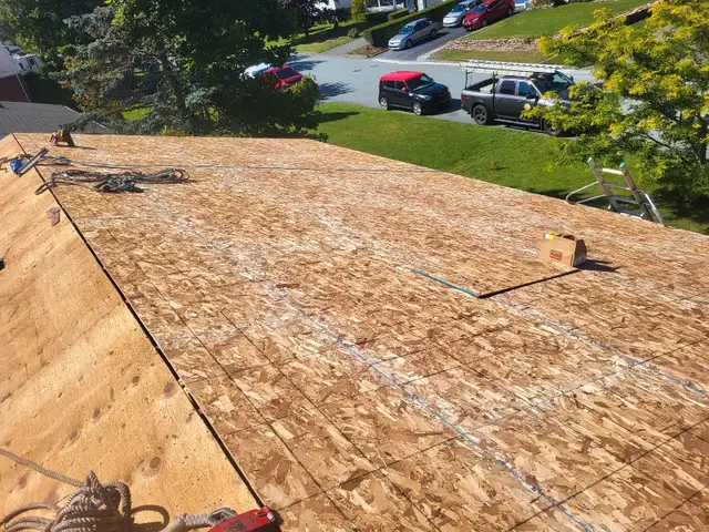 Professional, insured roofing services62863712762754121
