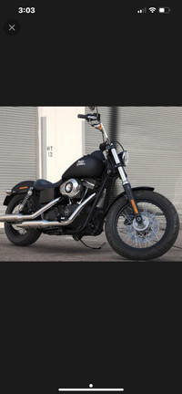 Looking for a 2013-2017 Harley Street Bob 