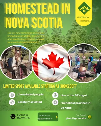 Join Our Homestead Community in Hants County, Nova Scotia! Dreaming of a serene life in nature with...