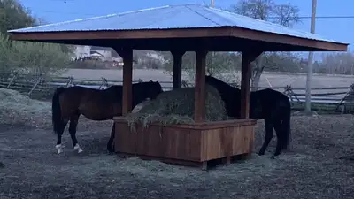 Custom hay feeders, run ins, shelters or whatever else you might need. Built safe and strong for hor...