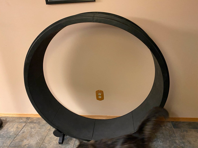 cat wheel  in Other in Edmonton - Image 2