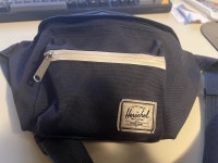 Hershel 3.5 pouch Fanny bag  Oakville / Halton Region Toronto (GTA) Preview