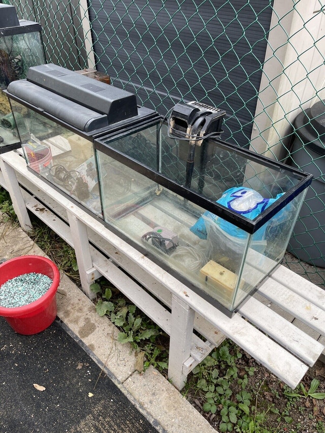 Aquarium fish tank 10 gallon Accessories Kitchener / Waterloo Kijiji