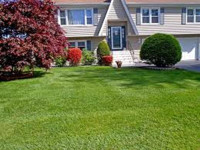 Snow Cats Property Maintenance-Quality Lawn & Snow Care In K/W