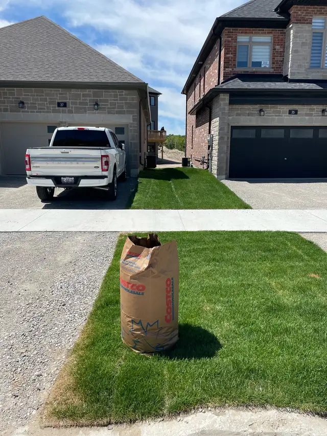 High Quality Grass Cutting and Property Maintenance in Barrie in Snow Removal & Property Maintenance in Barrie - Image 6