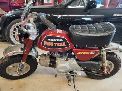 1974 Purrs like a kitton