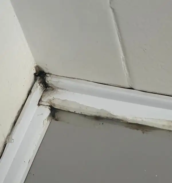 Bath-tub Black Mold Removal, Tile & Grout Cleaning & Caulking63384476708483123