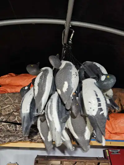 Duck Hunting Gear, View more