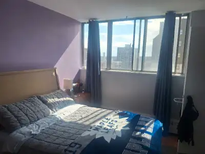 room for rent