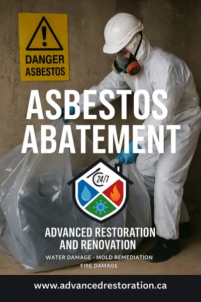 Asbestos Abatement , View more