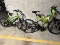 Adult and kids bike for sale