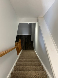 Basement for rent in guelph