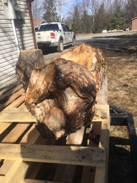 Burl wood 