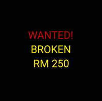 Looking for used Suzuki RM 250