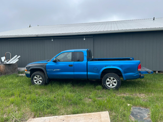 2000 dodge Dakota in Cars & Trucks in Edmonton - Image 2