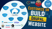 I will customize or develop drupal website