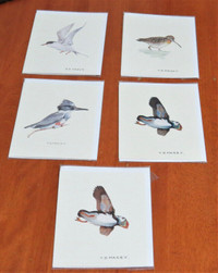 Shorebirds of Atlantic Canada T. G. Macey Gift Cards (Lot of 5)