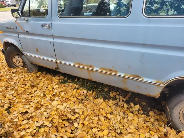 Ford van426574006694727684