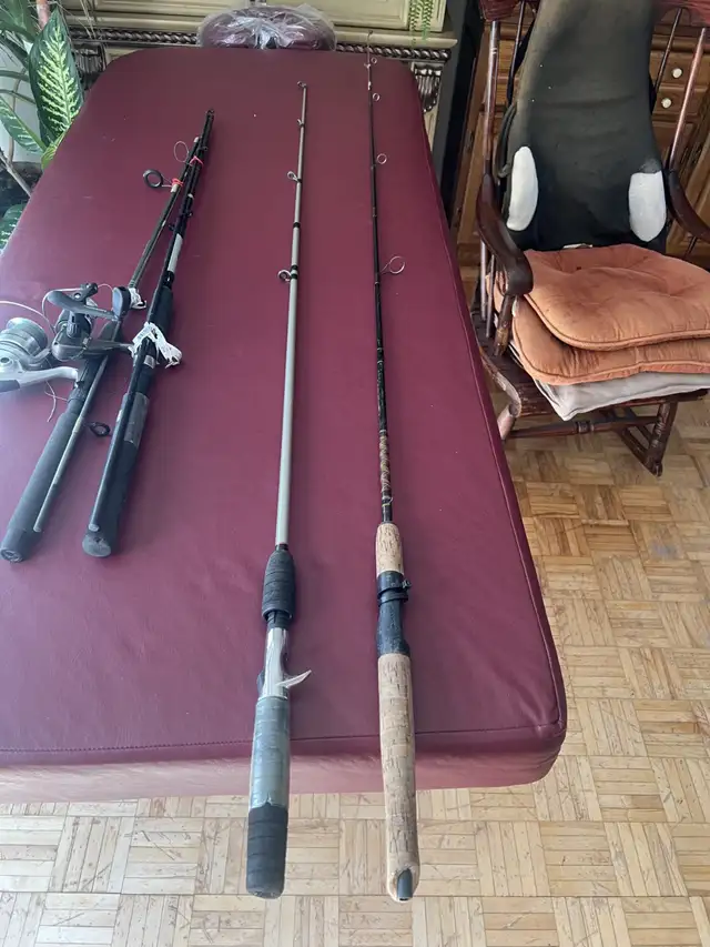 fishing rod and reel in Other in Ottawa - Image 6