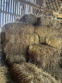 Old straw bales 