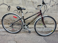 Minneli prominade hybrid bike