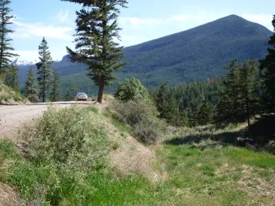 4.5 ha ( 11.2 acres ) property near the old settlement of Moha on the Yalakom Road 32 km ( 20 miles...
