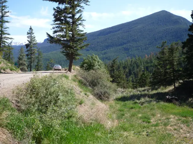 Bridge River-Yalakom Valley-Lillooet (11.2 acres/4.5 ha)