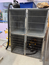 Cage à chien / dog cages for sale 