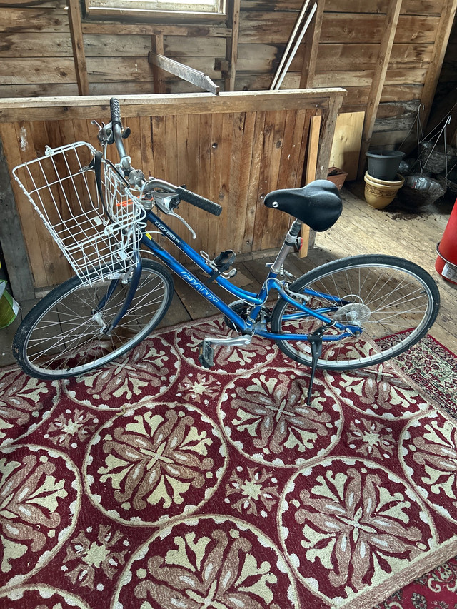 Ladies bike  in Cruiser, Commuter & Hybrid in Annapolis Valley