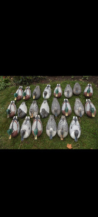 Duck decoys.17 available. Excellent condition.  1964 