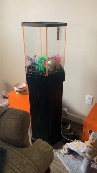 I'm selling a used, but well-maintained, fish tank, complete with a decorative skull and colourful p...