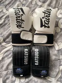Fairtex Muay Thai/Boxing Gloves