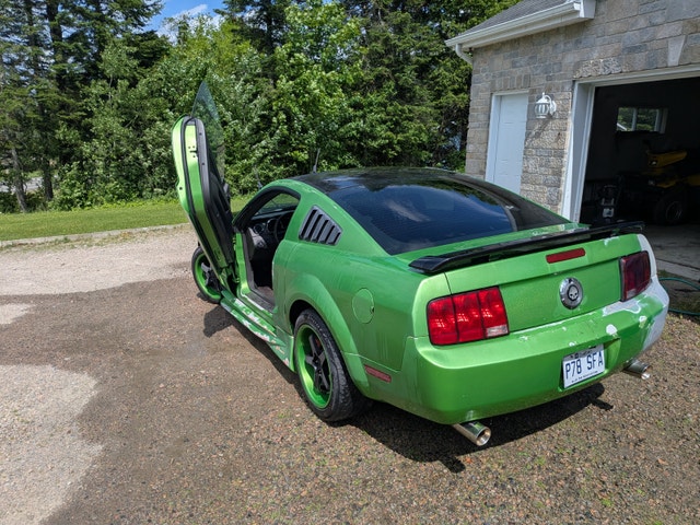 Ford Mustang 2006 — photo 2