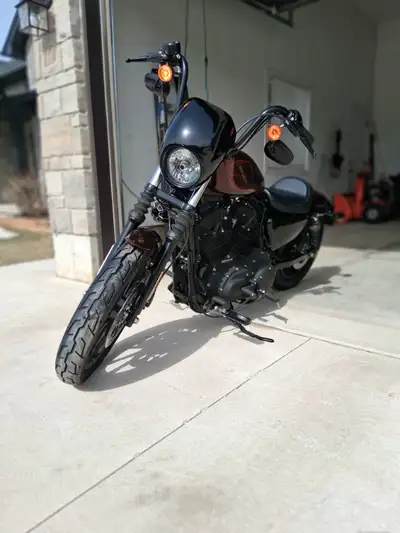 Looking to sell my 2019 Iron 1200 Harley Davidson. Bought it new, but since having kids I just don't...