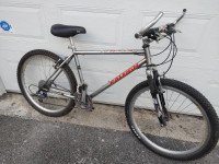 Tuned Raleigh Chill mountain bike (18" frame)