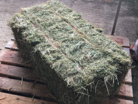 Small square bales grass hay - stored inside